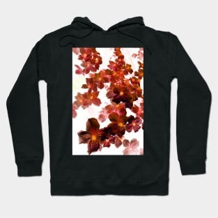 Designer 103365 x18 Hoodie